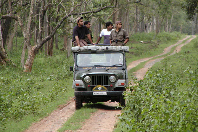 Bandipur Wildlife Tour From Bangalore