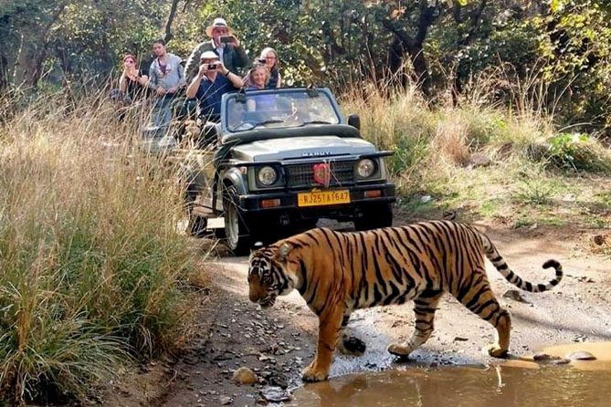 Golden Triangle Tour With Ranthambore